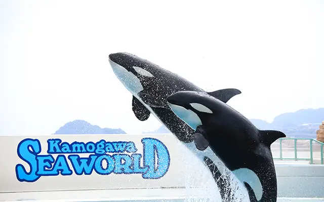 鴨川シーワールド